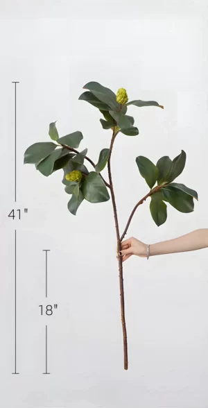 The image shows the full 41-inch magnolia leaf stem, with the bottom 18 inches representing the branch. Perfect for floral decor with a tall, slender profile.