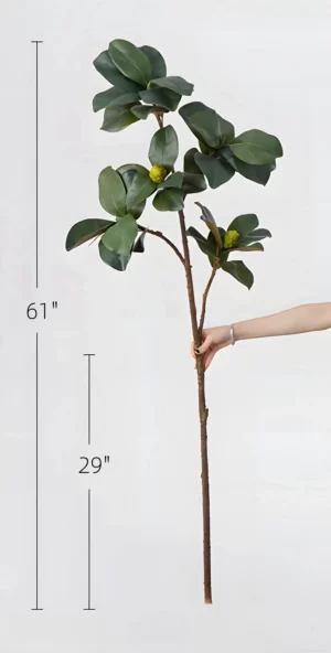 This image displays the full length of the 61-inch magnolia leaf stem, with a 29-inch branch. Ideal for creating tall, majestic arrangements.