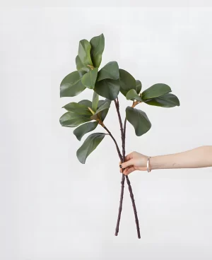 A comparison shot showing two artificial magnolia leaf stems of 23 inches and 28 inches, demonstrating the natural leaf arrangement and realistic branching.