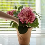 Artificial Potted Hydrangea | Large Pink 14" Terracotta Pot