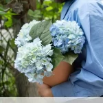 Artificial Potted Hydrangea | Large Blue 14" Terracotta Pot