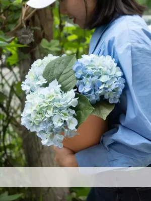 A bold statement piece, this large faux hydrangea arrangement features three blue hydrangea stems in a rustic red brick ceramic pot. The contrasting colors of the deep blue flowers and the warm-toned pot make this a striking addition to your home decor.