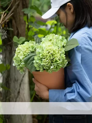 Liven up your home with this large potted artificial green hydrangea arrangement. The combination of fresh green tones and the red brick ceramic pot gives a natural yet refined look, perfect for any indoor or outdoor setting.