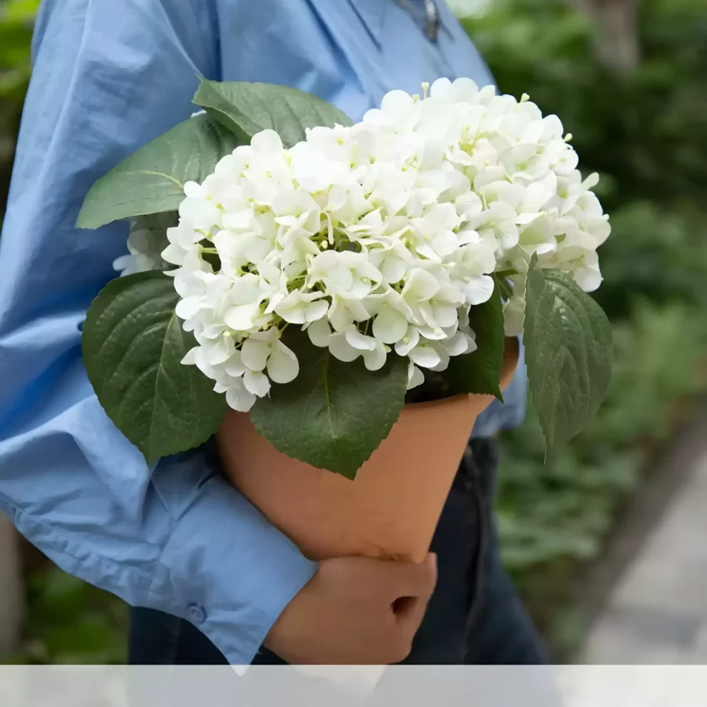 This large artificial white hydrangea arrangement in a red brick ceramic pot brings timeless elegance to any room. The bright white blossoms offer a crisp, clean look while the warm tones of the pot add a hint of rustic charm.