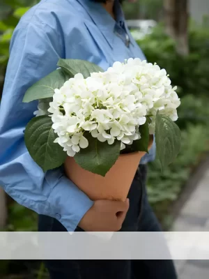 This large artificial white hydrangea arrangement in a red brick ceramic pot brings timeless elegance to any room. The bright white blossoms offer a crisp, clean look while the warm tones of the pot add a hint of rustic charm.