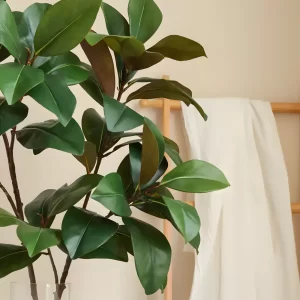 A close-up shot of two magnolia leaf stems in a vase, showcasing the realistic, layered leaf arrangement that mimics the look of real magnolia leaves.