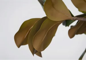 A detailed shot of the back side of the magnolia leaf, mimicking the authentic coloration of a real magnolia leaf's yellow-green underside.