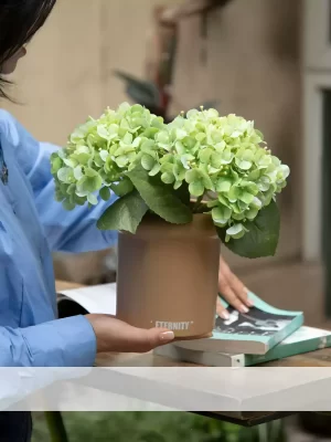 This small faux green hydrangea arrangement, accompanied by books on a flower basket, blends perfectly into any outdoor setting. The greenery adds a natural touch to your garden, patio, or balcony.