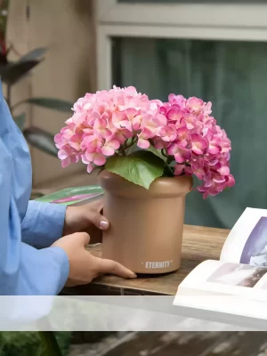 This cozy scene features a small pink hydrangea pot set alongside books on a woven outdoor flower basket. The charming combination of the vibrant blossoms and books adds a personal touch to your garden or balcony.