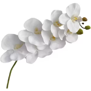 A single artificial white orchid stem set against a white background, emphasizing its clean lines and delicate beauty. This versatile piece is ideal for adding elegance to any space.