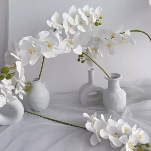 A stunning display of several artificial white orchid stems in sleek white vases. The minimalist design enhances the timeless beauty of these lifelike flowers, making them a versatile choice for any room.