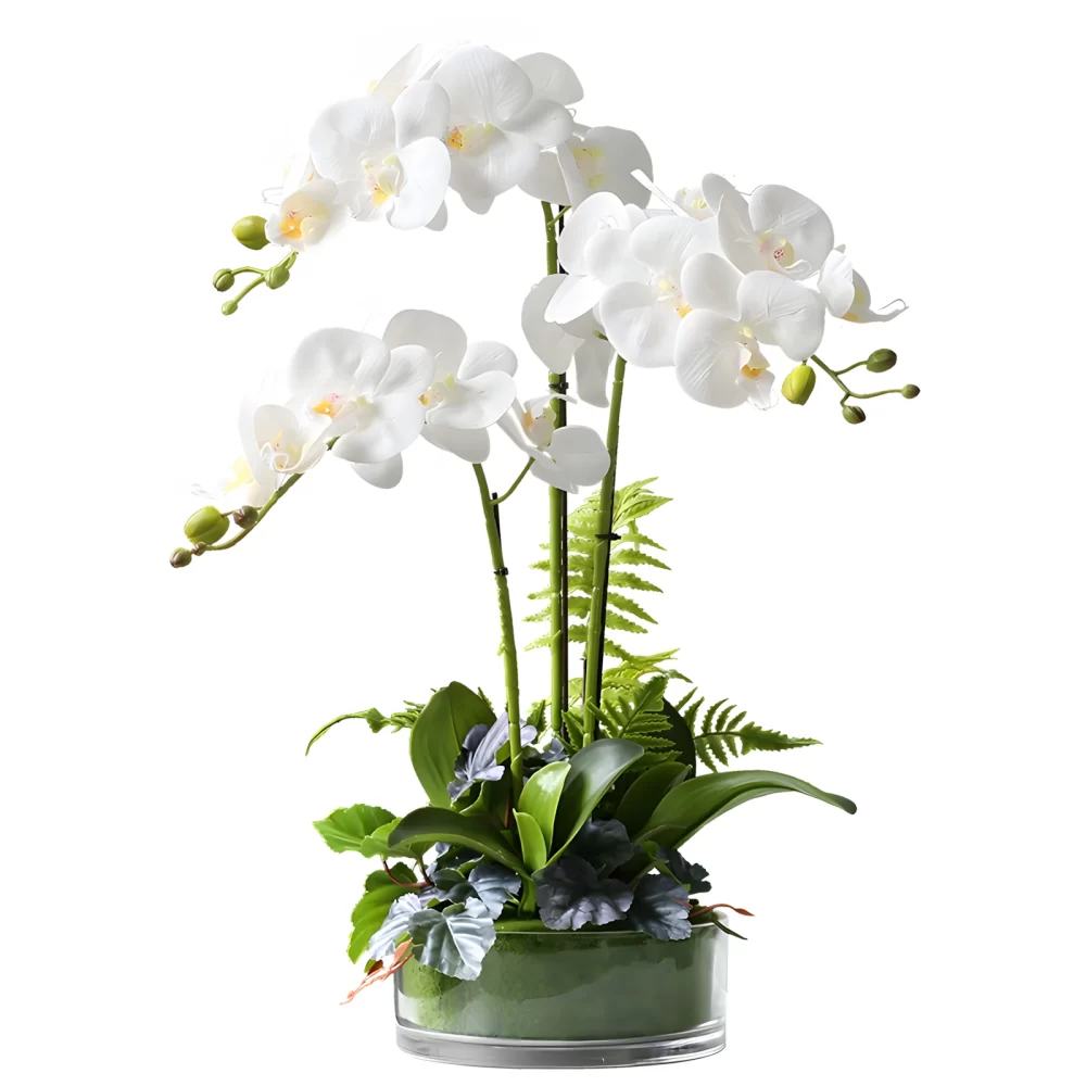 This white artificial orchid potted plant features three meticulously crafted stems in full bloom, standing approximately 24 inches tall. The 7-inch tall, 7.3-inch wide glass pot adds a sleek touch, while the realistic leaves, roots, and flowers bring a natural and timeless charm to any decor.