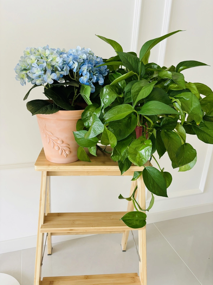 The blue artificial hydrangea is styled alongside a green artificial vine, creating a refreshing and harmonious setup. The combination of blue blooms and lush green foliage adds a natural, lively touch to any room. This arrangement showcases how versatile the hydrangea can be when paired with other greenery, ideal for decorating living spaces or offices.