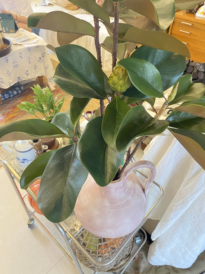 In this close-up shot, the customer showcases the fine details of the faux magnolia branches. The vibrant green leaves on the front contrast with the softer yellow-green tones on the back, while the realistic fruit and branches add an authentic touch. Each element is meticulously crafted, capturing the lifelike essence of real magnolia leaves and branches.