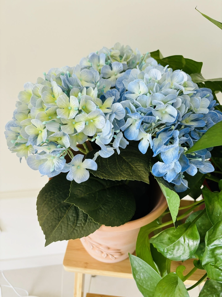 A top-down perspective of the blue artificial hydrangea arranged in a rustic terracotta ceramic pot. The terracotta’s warm, earthy tone contrasts beautifully with the vibrant blue petals, making the arrangement stand out. This view gives a unique look at the full, lush bloom and the aesthetic appeal of the pot, perfect for any indoor decor style.