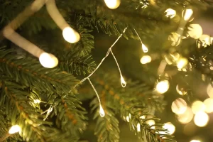 Wound around tree branches, the illuminated white beaded lights create a magical effect, bringing the feeling of a starlit night indoors.