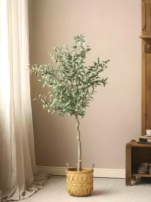 This 55.1-inch (140 cm) artificial olive tree adds elegance to any interior. With its lifelike foliage, carefully arranged branches, and realistic proportions, it’s a perfect fit for medium-sized spaces.