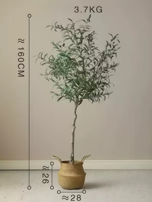 This 63-inch olive tree weighs approximately 8.15 lbs (3.7 kg) and is supported by a stylish basket base measuring 10.2 inches tall and 11 inches in diameter.