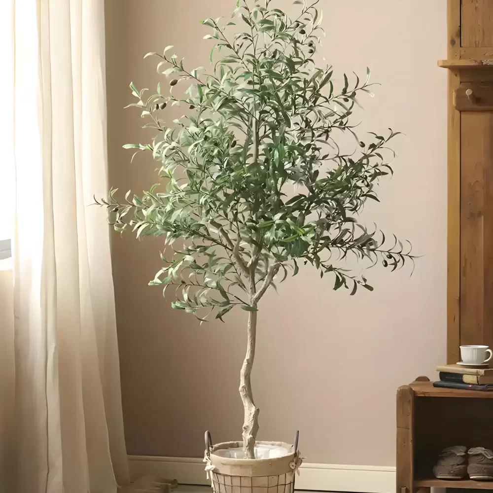 Standing tall at 63 inches (160 cm), this artificial olive tree features realistic leaves, delicate olives, and a natural trunk that brings charm to any living space or office.