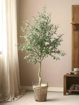 Standing tall at 63 inches (160 cm), this artificial olive tree features realistic leaves, delicate olives, and a natural trunk that brings charm to any living space or office.