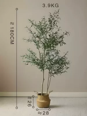 This olive tree weighs approximately 8.6 lbs (3.9 kg) and comes in a durable basket base with a height of 10.2 inches and a diameter of 11 inches, balancing beauty and practicality.