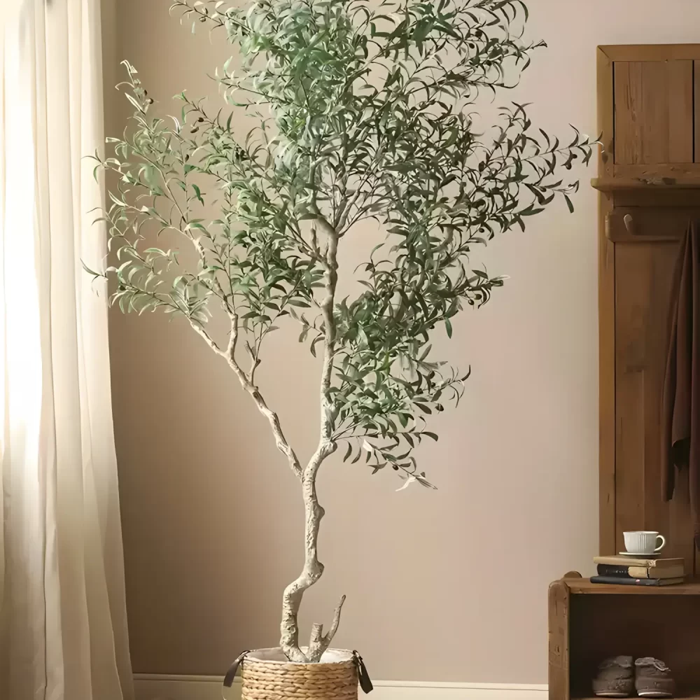 Towering at 98.4 inches (250 cm), this artificial olive tree is designed to make a statement. Its lifelike details, grand stature, and lush greenery elevate any room with a touch of nature-inspired luxury.