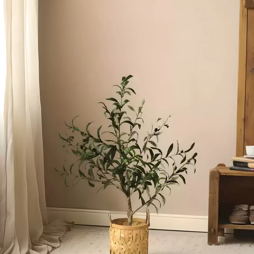 Standing at 35.4 inches tall (90 cm), this artificial olive tree is ideal for adding greenery to any corner. Its naturalistic leaves and fruits replicate the charm of a real olive tree.