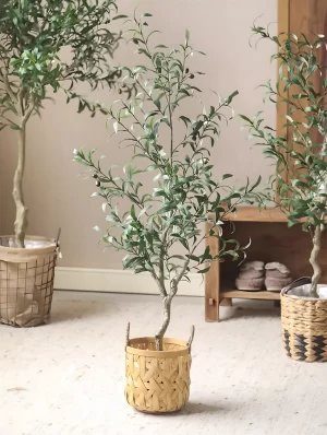 This compact 35.4-inch olive tree adds a pop of greenery when placed on a plush rug. Its versatile design blends seamlessly with modern, rustic, or boho interiors.