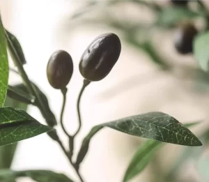 A stunning close-up of the artificial olive tree showcases its realistic leaves, subtle color transitions, and lifelike olive fruits. A testament to the craftsmanship involved.