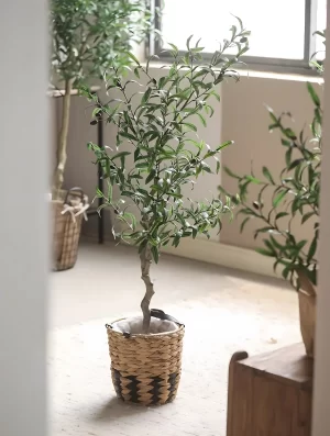 The artificial olive tree stands by the window, bathed in sunlight. Its lifelike leaves and fruits look vibrant and full of life in the natural light.